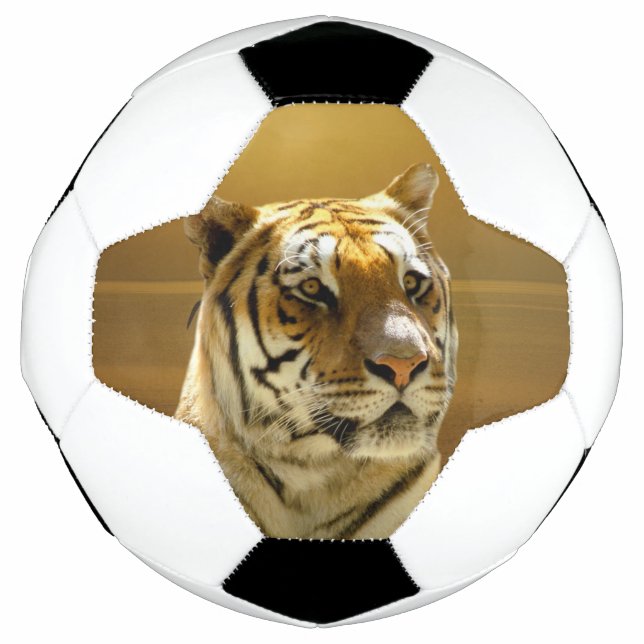 Ballon De Foot Golden Tiger (Devant)