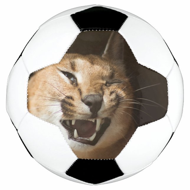 Ballon De Foot Goofy Lynx (Devant)