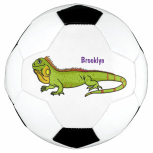 Ballon De Foot Happy green iguana cartoon