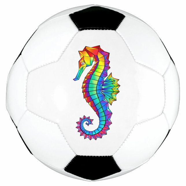 Ballon De Foot Hippocampe polygonal arc-en-ciel (Devant)
