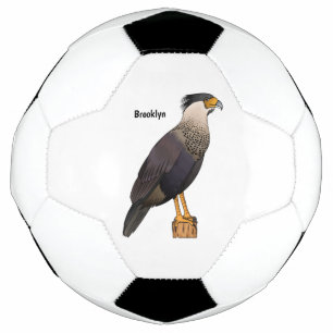 Ballon De Foot illustration de dessin animé d'oiseau caracara hup