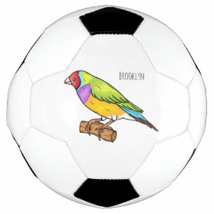 Ballon De Foot illustration de dessin animé d'oiseau pinson de Go