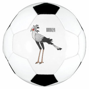 Ballon De Foot Illustration de dessin du secrétaire pour oiseaux