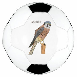 Ballon De Foot Illustration d'oiseau américain Kestrel
