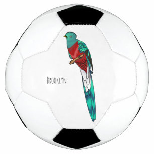 Ballon De Foot Illustration d'oiseau de quetzal resplendissant