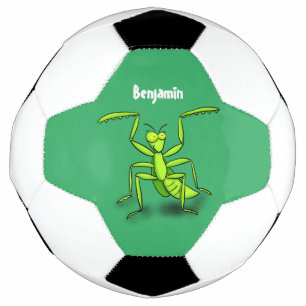 Ballon De Foot Illustration drôle de mante verte en prière