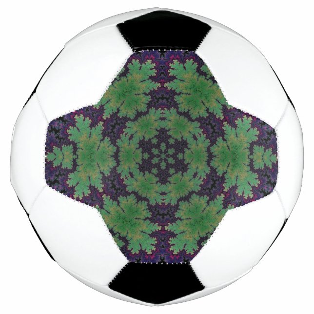 Ballon De Foot La Roue Enchantée De La Ferne (Devant)