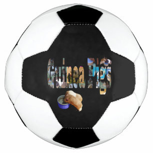 Ballon De Foot Les Cochons De Guinée Est Le Mot, Le Balle De Foot