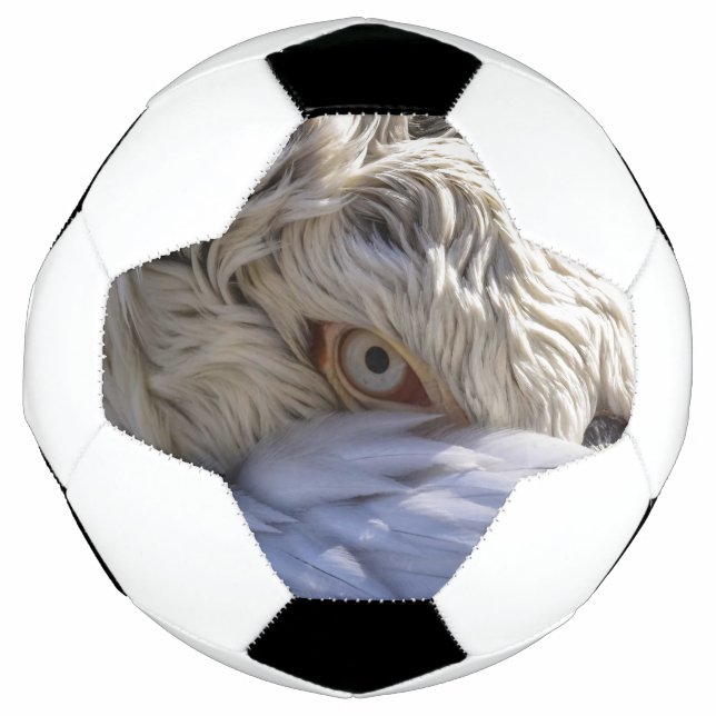 Ballon De Foot L'oeil d'un pélican (Devant)