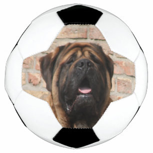 Ballon De Foot Mastiff anglais
