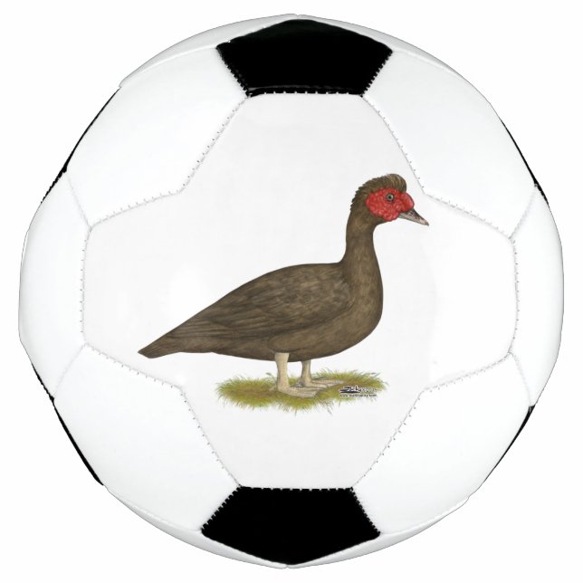 Ballon De Foot Muscovy Drake Chocolat (Devant)