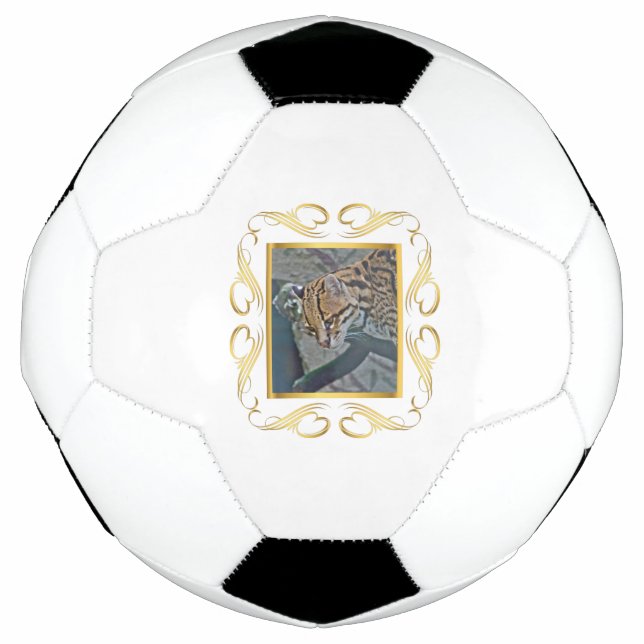 Ballon De Foot Ocelot encadré (Devant)