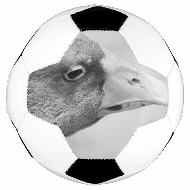 Ballon De Foot Oie BW (Devant)