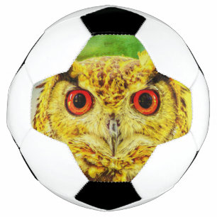 Ballon De Foot Owl Art