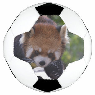 Ballon De Foot Panda rouge à sonde