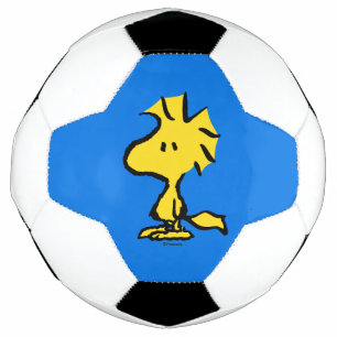 Ballon De Foot Peanuts Snoopy's Friend Woodstock