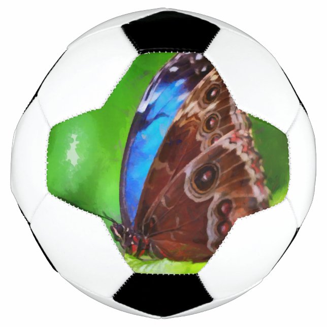 Ballon De Foot Peinture à papillon (Devant)
