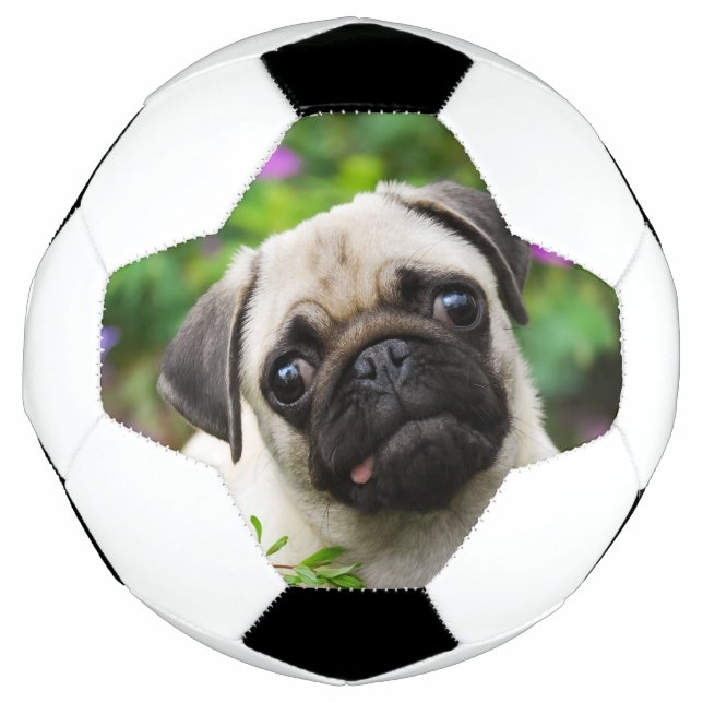 Ballon De Foot Petit chiot au carlin pâle mignon (Devant)