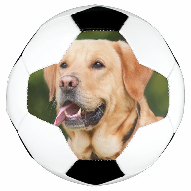 Ballon De Foot Photo personnalisée pour animal de compagnie (Devant)