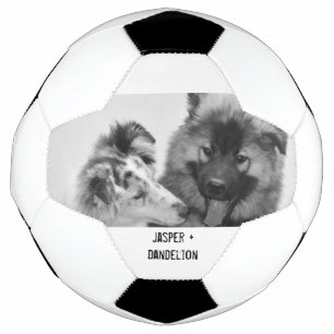 Ballon De Foot Photo simple, moderne personnalisée pour animaux d