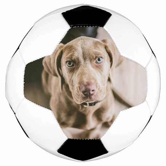 Ballon De Foot Portrait de chien (Devant)