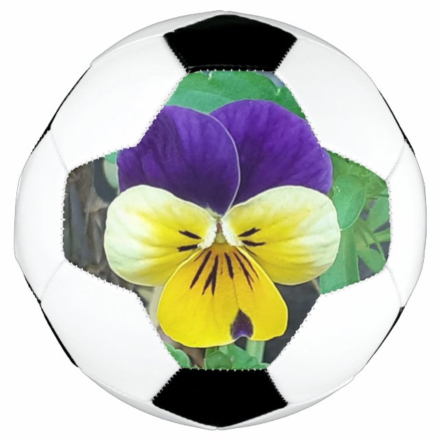 Ballon De Foot Purple et Yellow Pany (Devant)