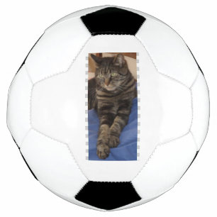 Ballon De Foot Regal Dave Football