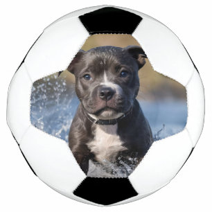 Ballon De Foot Robuste Puppy S'Éclatant Dans La Mer,