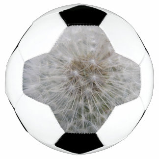 Ballon De Foot Saisie Dandelion Fleur balle de soccer