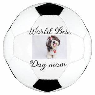 Ballon De Foot Simple animal coloré ajouter nom photo chien maman
