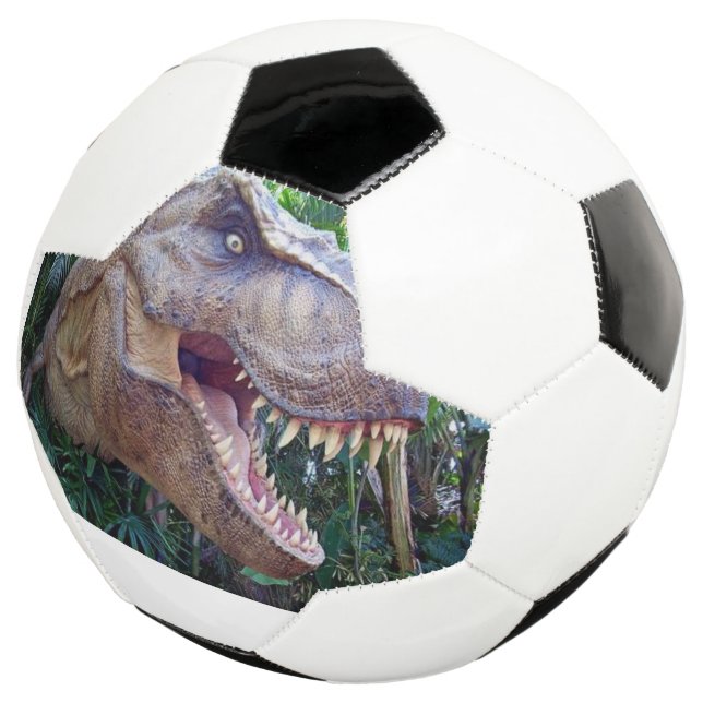 Ballon De Foot Soccer Ball Cute Dinosaur (3/4)