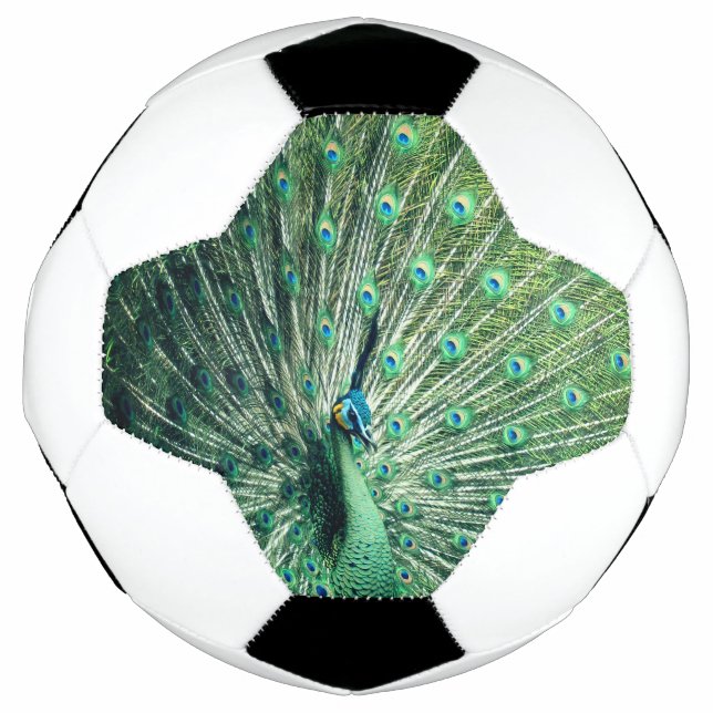 Ballon De Foot Strut Peacock (Devant)