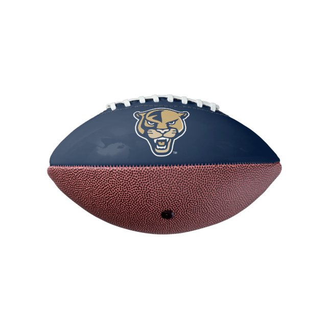 Ballon De Foot Tête Panther FIU (Tourné à 270°)