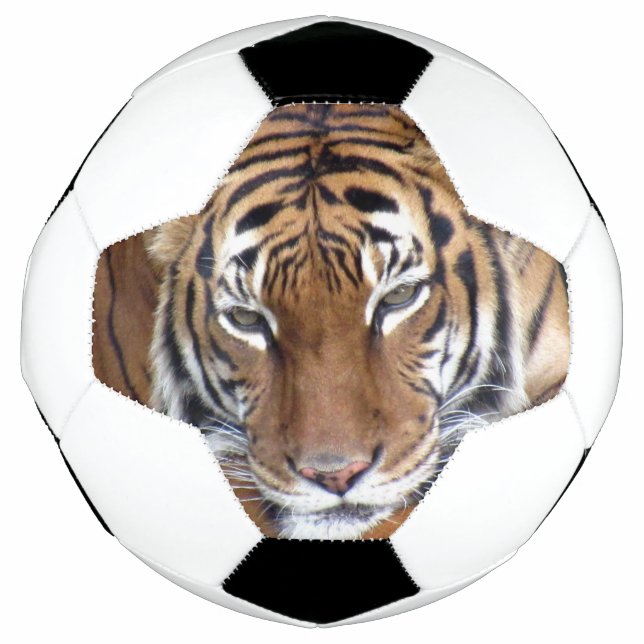 Ballon De Foot Tigre - Balle de Football (Devant)