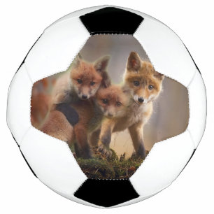Ballon De Foot Triplets Foxy