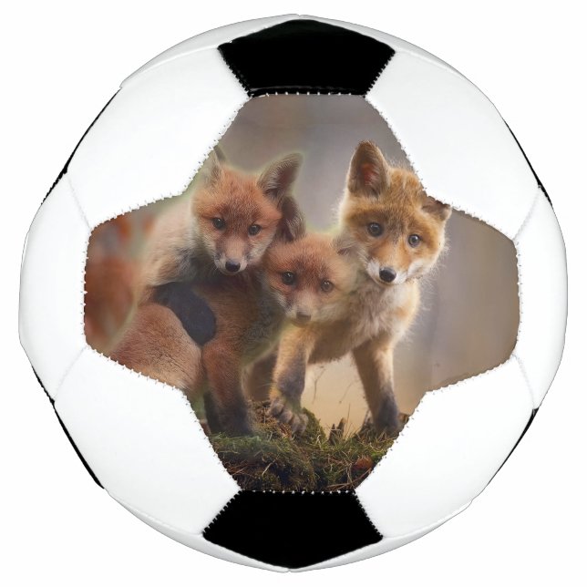 Ballon De Foot Triplets Foxy (Devant)