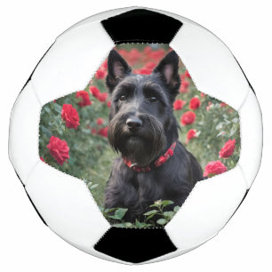 Ballon De Foot "Une rose rouge pour le terrier écossais noir"