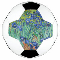 Vincent Van Gogh - Iris
