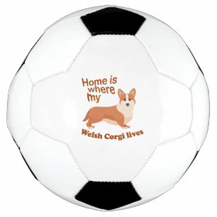 Ballon De Foot Welsh Corgi Home