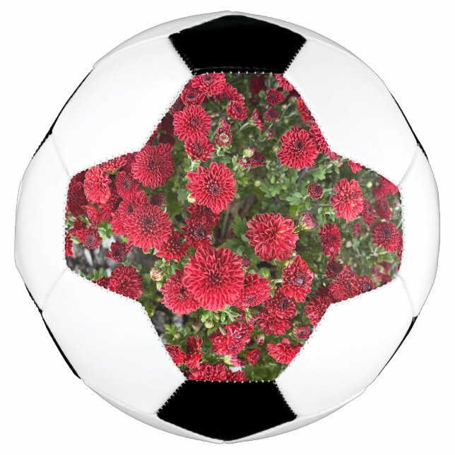 ballon de football (Devant)