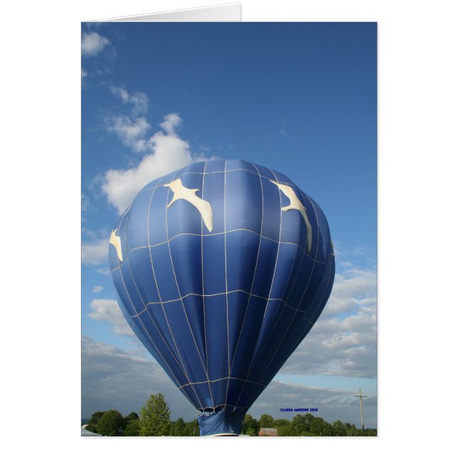Ballon gonflable! Mouettes volantes (Devant)