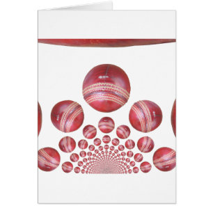 ballons de cricket pro