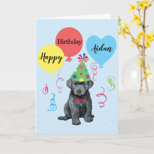 Balloons d'anniversaire Bouvier des Flandres Carte