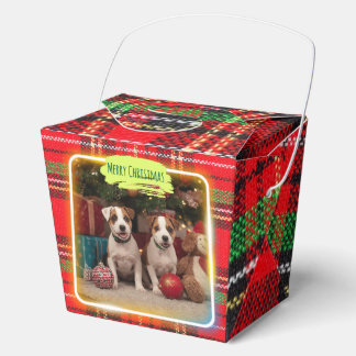 BALLOTINS チェック柄がかわいいジャックラッセルテリアの子犬たちとクリスマス♡