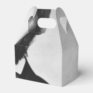 Ballotins Abraham Lincoln Portrait