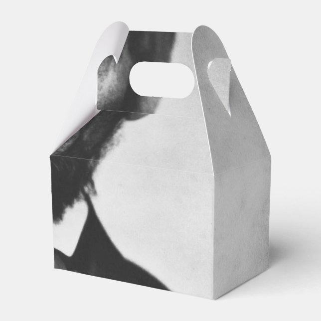 Ballotins Abraham Lincoln Portrait (Verso)