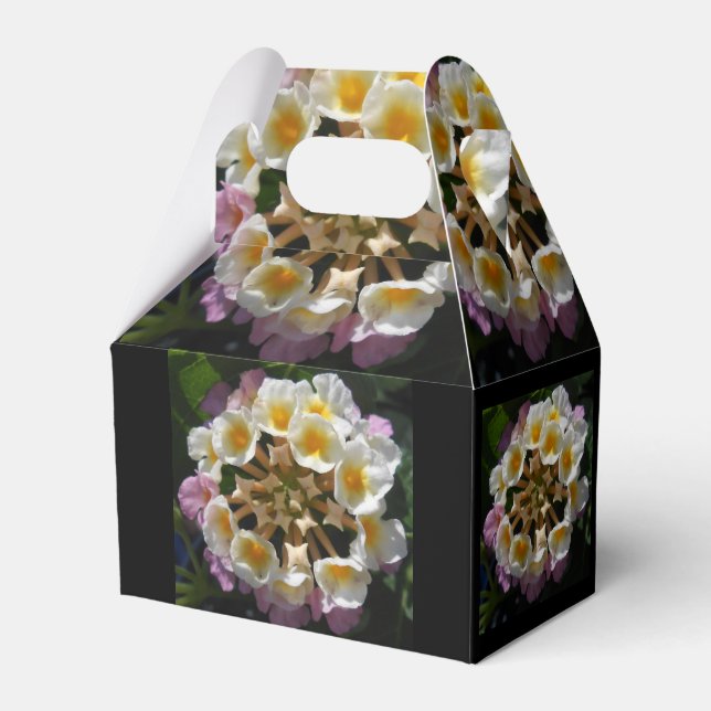 Ballotins Adelaparre (Verso)