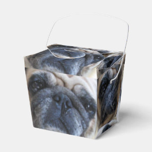 Ballotins Allez-y Bientôt Sick Carlin Chien