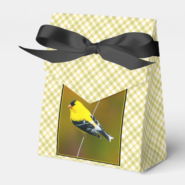 Ballotins American Goldfinch - Photo originale (Verso)