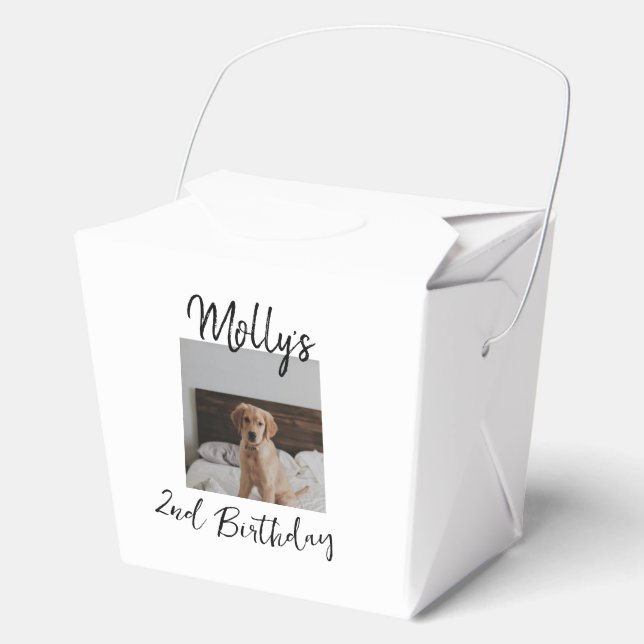Ballotins Animateur chien chat animal photo moderne simple (Recto)